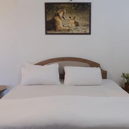 Hotel Ashirwad Джунагадх Экстерьер фото